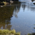 19-10-10 Gaspésie 0041 GA2 7413