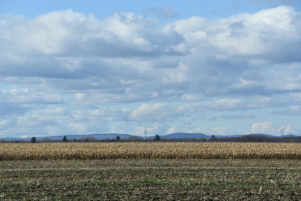 19-10-25 Shewi MtTrembl StJerome 0280 GA2 2816